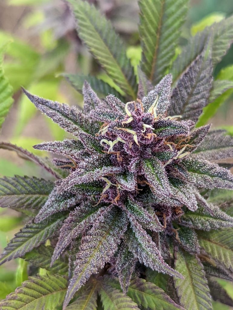 img 20220515 wa0014.jpg